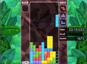 Tetris Jungle