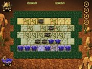Troglodytes 2